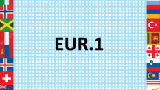 EUR.1